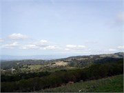 04152011_Lori and Rons_45